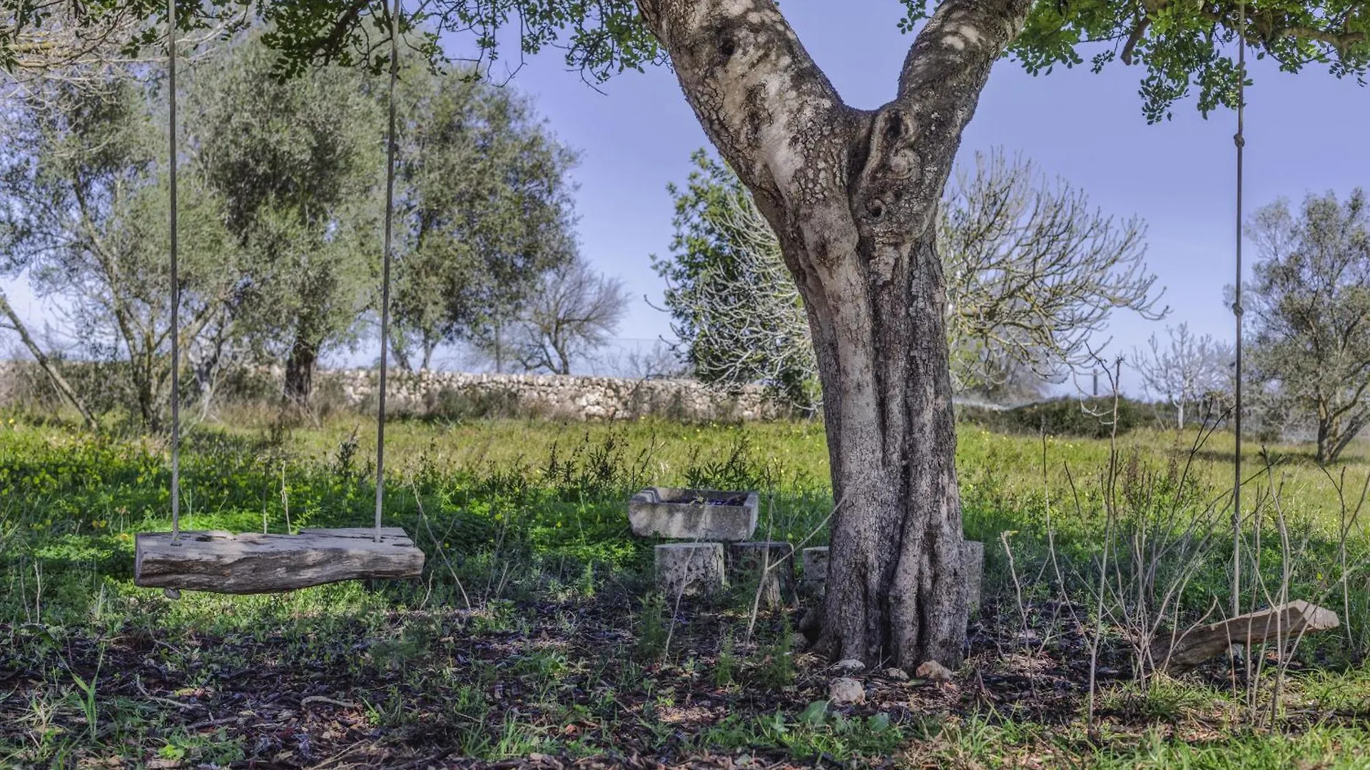 Finca Sa Torreta Santa Margalida Casa rural